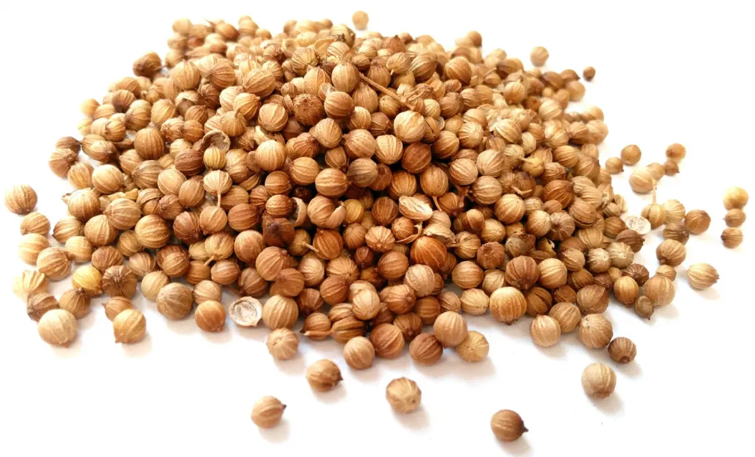 Semințe de coriandru